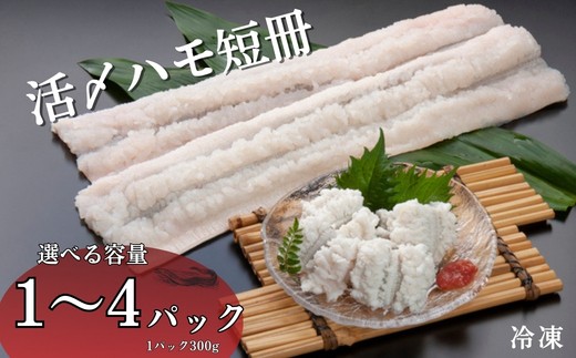 
                  活〆鱧短冊 300g 【選べる容量】 1～4パック 冷凍 鱧 ハモ 鱧短冊 海鮮 北風鮮魚 愛媛県 伊予市
                