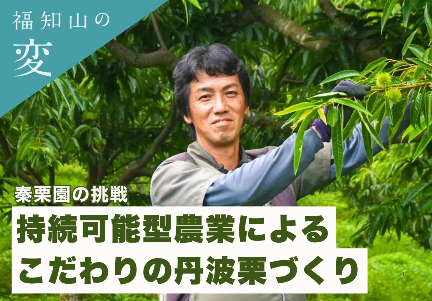 栗 くり 氷蔵 丹波栗 むき栗 筑波 2L 1kg