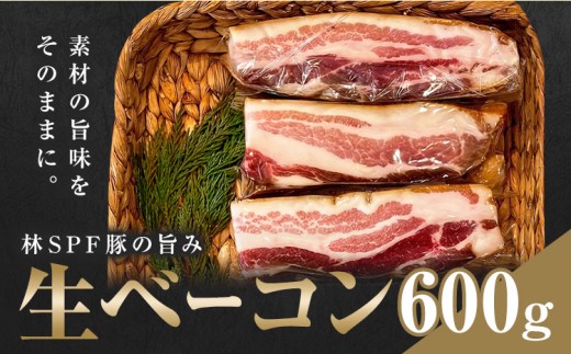 加工食品 生ベーコン 600g ミートポーク山水《60日以内出荷予定(土日祝除く)》千葉県 東庄町 林SPF豚 生ベーコン プレミアムポーク 熟成 燻製 低温熟成 脂身 赤身 ベーコンエッグ カルボナーラ 朝食 パスタ