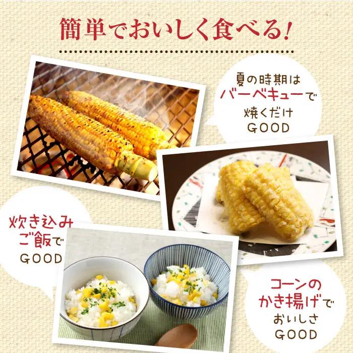 【北海道恵庭市産】朝どりスイートコーン×20本 北海道産 とうもろこし ふるさと納税 北海道 恵庭市【31000103】