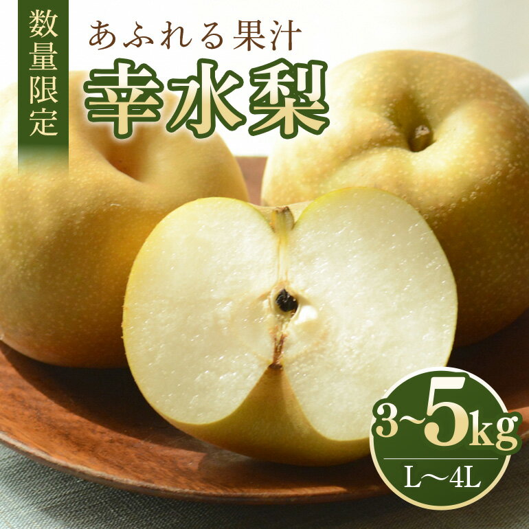 【ふるさと納税】 数量限定 2025年 先行予約 梨 幸水 選べる内容量 3kg～5kg (3kg L～4L 7～10玉 / 5kg L～4L 11～18玉) なし ナシ 果物 フルーツ 国産 数量限定 先行予約 【8月10日～9月末発送予定】 70-SKU-B