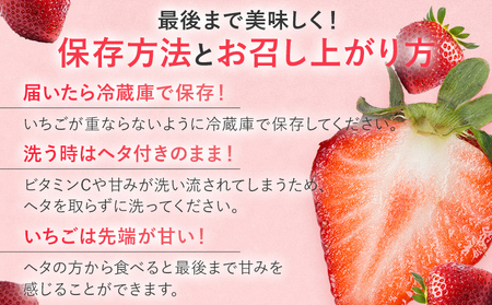 【2026年2月上旬より順次発送】 あまおうDX 約280g×4パック いちご 苺 フルーツ 果物 くだもの 福岡県 福岡 九州 グルメ お取り寄せ