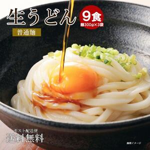 生うどん 麺のみ 9食（300g×3袋）普通麺｜うどん 生麺