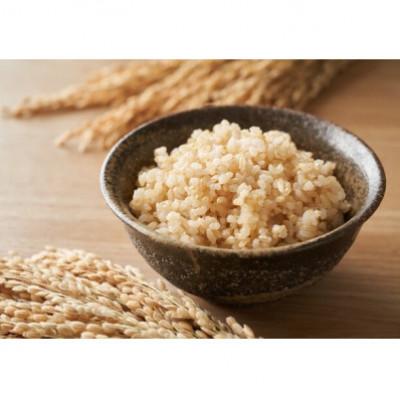 ふるさと納税 西脇市 【毎月定期便】兵庫県産 コシヒカリ(玄米) 20kg(10kg×2)全3回