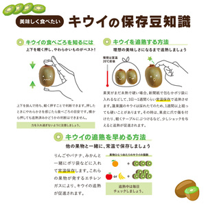 【先行予約】 【11月上旬から発送】 キウイフルーツ ヘイワード約5㎏ 大中小サイズ混合 家庭用 | キウイ キウイ キウイ キウイ キウイ 【RNK019】