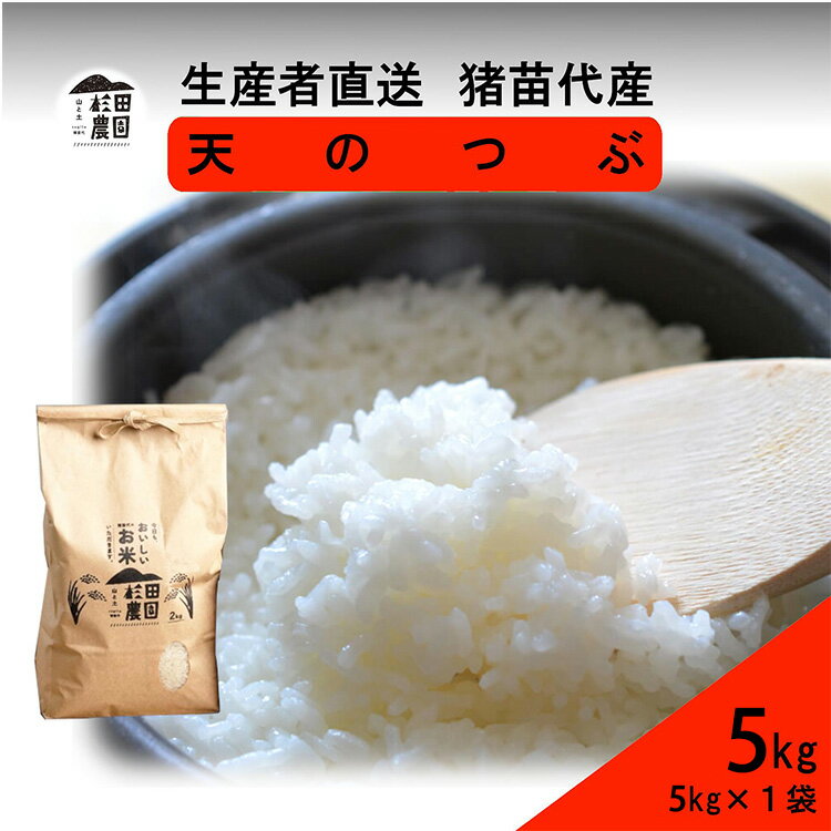 【ふるさと納税】【令和7年度産 新米予約】 米 天のつぶ 5kg 白米 精米 ※2025年11月下旬頃より順次発送予定 ※沖縄・離島への配送不可
