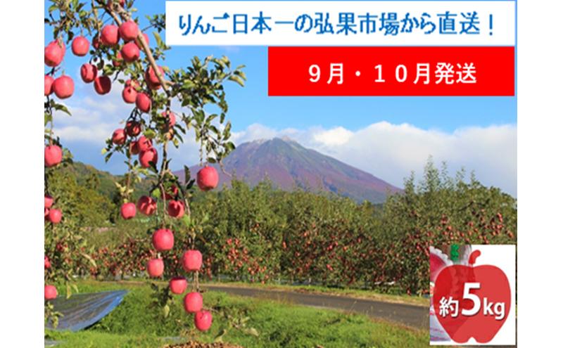 【9月・10月発送】家庭用 早生ふじ 約5kg【西目屋村産・青森りんご】 りんご 林檎 リンゴ 果物 フルーツ くだもの 旬 青森県産 お取り寄せ 詰め合わせ セット 常温 産地直送 送料無料 青森県 西目屋村
