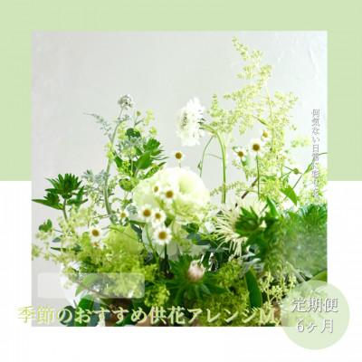 ふるさと納税 芸西村 【毎月定期便】芸西村産季節の生花アレンジメント　供花仏花M【t173tmf】全6回