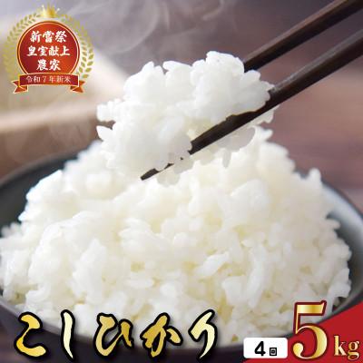 ふるさと納税 安芸市 【毎月定期便】4ヵ月連続でお届け!「コシヒカリ」定期便 5kg全4回