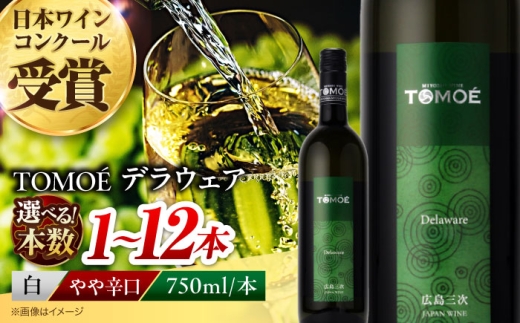 白ワイン TOMOEデラウェア 白ワイン やや辛口 750ml×2本 白 ワイン 受賞 ギフト 国産 おすすめ 醸造 お酒 地酒 洋酒 広島県三次市産 ぶどう 葡萄 ブドウ フルーツ フルーティ ご当地 記念日 誕生日 人気 おつまみ 飲み比べ 日本ワイン 送料無料 定期便 三次 お中元 酒 辛口 記念日 日本ワイン ワインセット 三次市 / 広島三次ワイナリー [APAZ089]