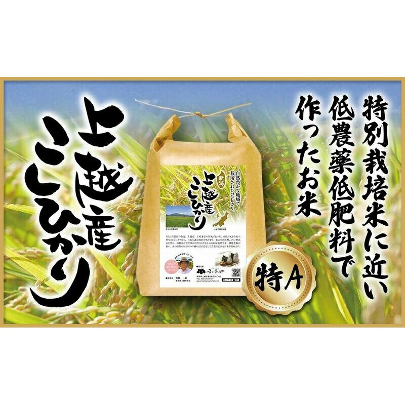 【ふるさと納税】米 上越産 こしひかり 5kg お米 コメ おこめ コシヒカリ 新潟 新潟県産 にいがた 上越 新潟の酒と米 まいどや　敬老の日 熨斗対応 ギフト プレゼント 秋 贈答　お届け：入金確認後、1週間以内に発送いたします。※発送直前に精米し、お届け致します。
