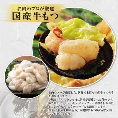 Z08-25 上田商店 博多もつ鍋セット(醤油味 3人前) もつ鍋