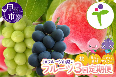 【定期便】JAフルーツ山梨 フルーツ3回定期便【2025年発送】D5-102【桃 もも モモ ピーチ 葡萄 ブドウ ぶどう 令和7年発送 期間限定 山梨県産 甲州市 フルーツ 果物】