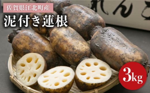 
【特別栽培農産物 認定】＜地元江北町産＞ 泥付き 蓮根 3kg【百武青果】 [HAE001]
