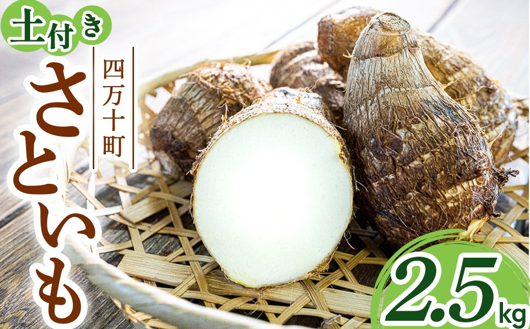 
                  【四万十町産】 土付き さといも （2.5kg）Fiz-B03 農産物 新鮮 里芋 里いも 野菜
                