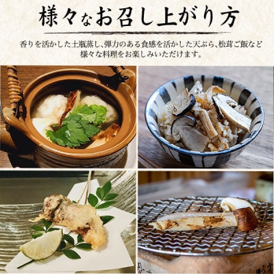 国産　天然高野松茸　約200g【配送不可地域：離島・北海道・沖縄県】