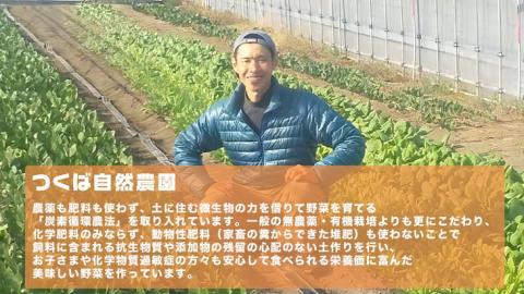 オーガニックさつまいも(紅はるか）5kg【農薬・肥料不使用】土つき〈茨城県共通返礼品・かすみがうら市〉_DM01 ※2023年9月上旬～2024年2月下旬頃に順次発送予定