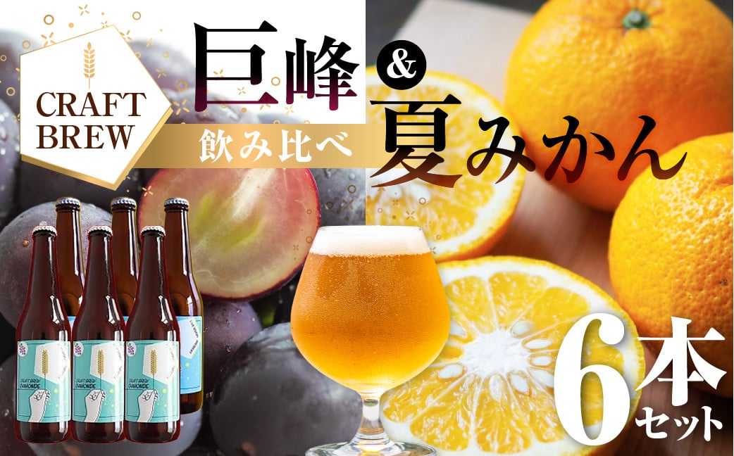 
            【お届け時期が選べる】東三河の地産地消にこだわったクラフトビール『ＤＡＭＯＮＤＥ』巨峰・夏みかん（２種６本セット） ビール ビールセット 贈答 ギフト お祝い お酒 地ビール 地酒 瓶ビール おススメ ギフト プレミアムビール BBQ 差し入れ クラフト 麦酒 年内 年末 愛知県 豊橋市
          