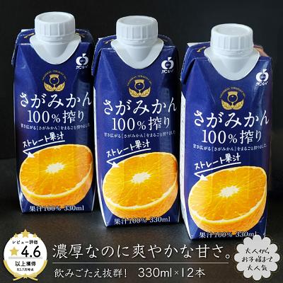 さがみかん100％搾り 330ml×12本：B105-001