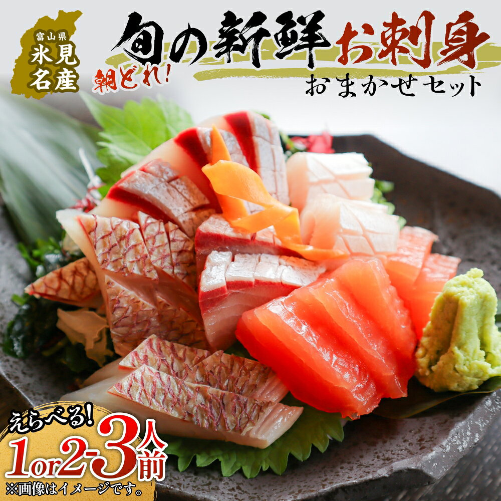 【ふるさと納税】＜冷蔵便＞ 氷見漁港朝どれ！旬の新鮮お刺身おまかせセット 選べる 1人前 or 2-3人前 | 配送地域限定 柵どり