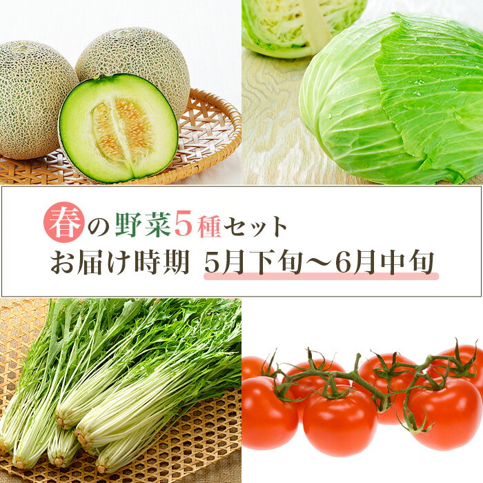 【ふるさと納税】657 茨城町 春の野菜セット メロン トマト きゅうり キャベツ みず菜