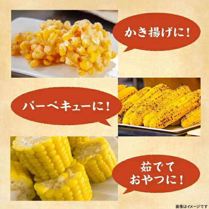 【先行予約】としちゃんのスイートコーン 約4kg 11-13本 [VBH001] スイートコーン