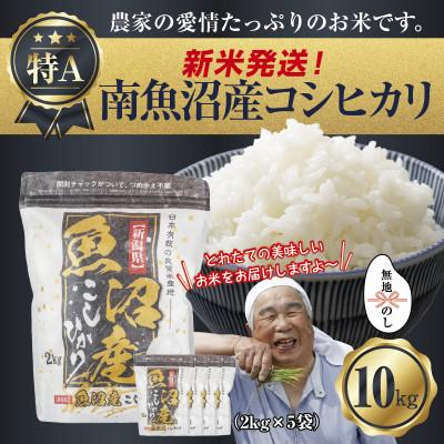 ふるさと納税 南魚沼市 【無地のし】令和7年産 南魚沼産 コシヒカリ10kg (美味しいお米の炊き方ガイド付)