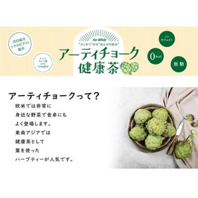 ふるさと納税 関市 アーティチョーク健康茶 48本 (500ml24本入×2ケース) |  | 01