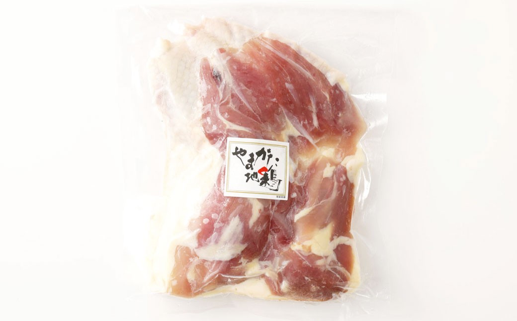 【3ヶ月定期便】やまがた地鶏 むね 約350g