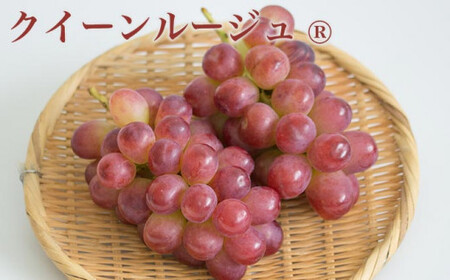 シャインマスカット＆クイーンルージュ_ 約1kg 各1房 ［小布施屋］ 果物 フルーツ ぶどう 葡萄 令和8年産【2026年9月下旬～11月上旬発送】 ［A-300］