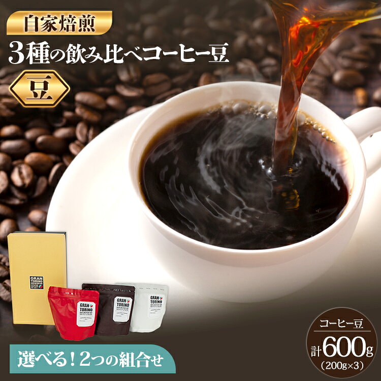 【ふるさと納税】 GRAN TORINO 200g×3種類 コーヒー 豆 キリマン トラッドブレンド グアテマラ モカ マンデリン 2セットから選べる 3種 飲み比べ セット 計600g 自家焙煎 珈琲豆 ドリンク 飲料 福岡県 福岡 九州 お取り寄せ