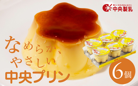 プリン3p 6個セット プリン 中央製乳