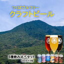 【ふるさと納税】つくばブルワリー クラフトビール6本セット | 飲み比べ クラフトビール ビール お酒 酒 麦酒 IPA 缶 麦芽 ホップ 茨城県 つくば市