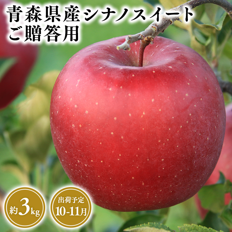 １０月・１１月発送　贈答用シナノスイート3ｋｇ　【そと川りんご園・１０月・１１月・青森県産・平川市・りんご・シナノスイート・3ｋｇ・贈答用】