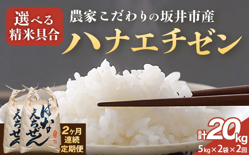 
            定期便 ≪2ヶ月連続お届け≫ 【令和7年産】農家こだわりの坂井市産 ハナエチゼン 10kg (5kg×2袋) × 2回 (計20kg) 【選べる精米具合：白米 / 玄米】 【米 コメ お米 華越前 5キロ ふるさと納税米 ブランド米 国産】 [G-10201]
          