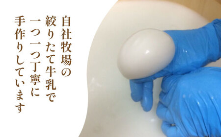 【全12回定期便】自家製 ナチュラルチーズ サンモッツア 4個 ( 100g × 4個 ) / チーズ モッツァレラチーズ  乳製品 熊本 山都町 チーズ定期 チーズ定期便 熊本チーズ 自家製チーズ 