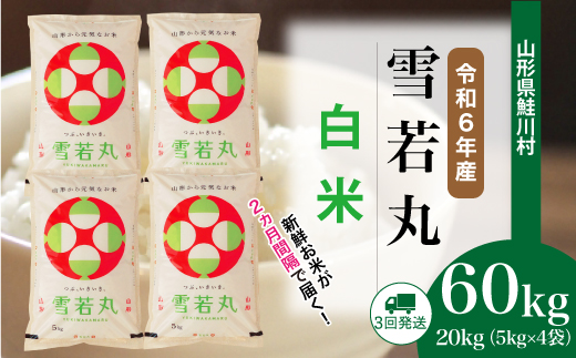 ＜令和6年産米＞ 令和7年2月上旬より配送開始 雪若丸【白米】60kg定期便(20kg×3回)　鮭川村