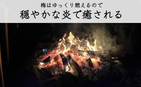【定期便 毎月発送・全3回 】梅の薪 約14kg×3回 梅ボーイズ 広葉樹【 広葉樹トップ級の火持ち】C-014