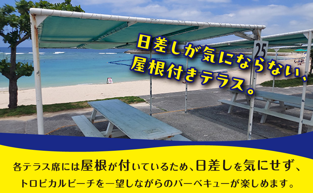 トロピカルビーチ BBQ 8名 プラン ご利用券 はごろも牛セット | はごろもPMパートナーズ | 旅行 沖縄 宜野湾 ぎのわん | 家族 ファミリー バーベキュー 海辺 ビーチ ビーチパーティー 