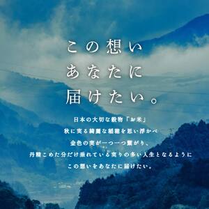 inaho GIFTボックス 9個入り ポン菓子 お米 離乳食 おやつ