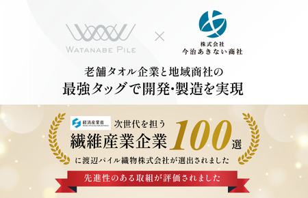 （今治タオルブランド認定） 上質ミニバスタオル 4枚セット グレー [I003990MBTGY] 今治タオル 渡辺パイル織物 ふるさと納税 限定 バスタオル コンパクトバスタオル バスタオル 小さめ