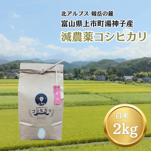 【ふるさと納税】【令和7年産】減農薬 上市町湯神子産コシヒカリ（白米）2kg　 [ソムリエH 富山県 上市町 32280234-r6-01] 　お米 コメ ご飯 ごはん こしひかり 富山県産