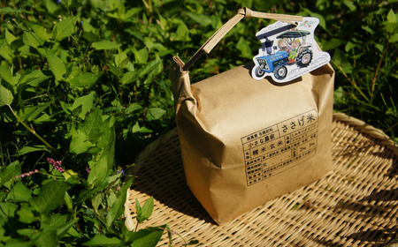 先行予約 [定期便5kg×3か月]減農薬有機肥料栽培 新潟県産 従来コシヒカリ 7分づき 5kg×3か月 [10月下旬から発送予定] 計15kg 令和7年産米 [小さな農家ささげ米]【032S025】