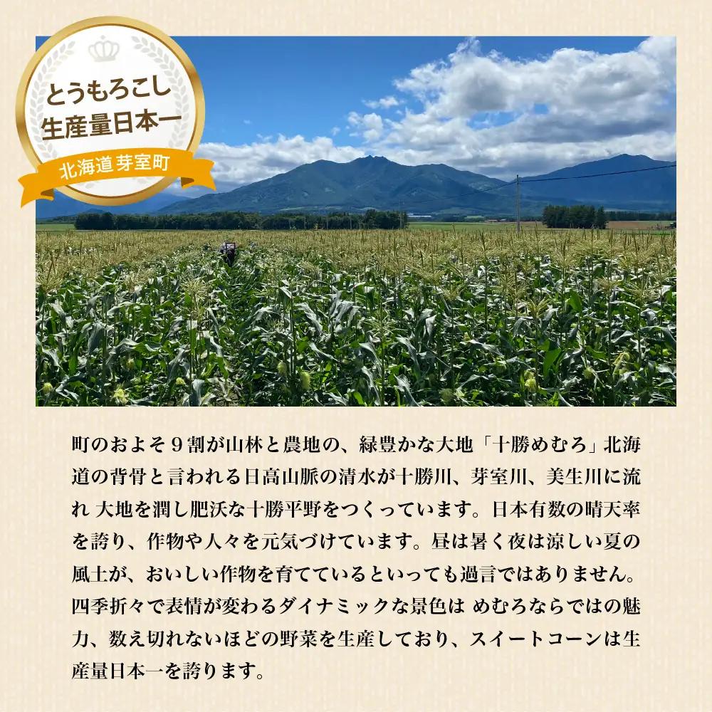 手軽で美味しい！北海道十勝芽室町 ポップコーン イエロー5本 手軽で美味しい！北海道十勝芽室町 ポップコーン イエロー30本 手軽で美味しい！北海道十勝芽室町 ポップコーン イエロー10本 軸付き カ