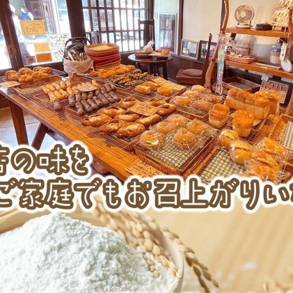  【6ヶ月定期便】【Mam's】店主のおススメのセット パン ぱん 食パン 米粉 米粉パン クッキー 米粉クッキー 米麹 麹 甘いパン ふわふわ 食感 朝食トースト 季節 旬 食材 詰合せ 冷凍便 美