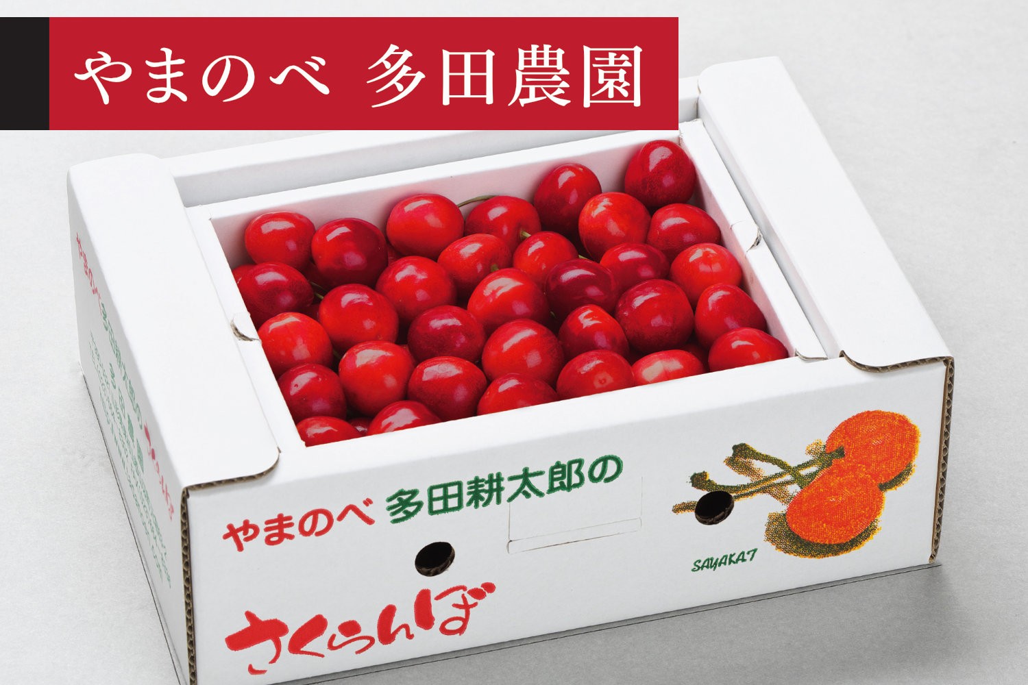 
                  《先行予約》2027年 山形県産 山形美人 L-2Lサイズ バラ詰め（パック）500g やまのべ多田耕太郎のさくらんぼ サクランボ tn-bjxxb500
                