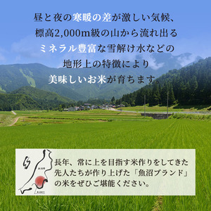 令和7年産 雪室貯蔵 無洗米 お米マイスター厳選 魚沼産 コシヒカリ 1等米 2.5kg　米 こしひかり 白米