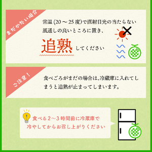 【2024年8月下旬発送】メロン5kg程度(緑肉4～6玉)津軽産