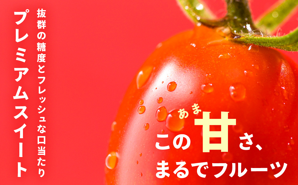 【2026年先行予約】朝採りフルーツミニトマト＆フルーツミニ 計1kg
