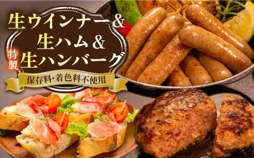 特製 生ハンバーグ 生ハム 生ウインナー 3種 セット 糸島市 / 志摩スモークハウス[AOA028] 肉 加工品 セット 生ハム ウインナー ハンバーグ ウィンナー 肉 ギフト